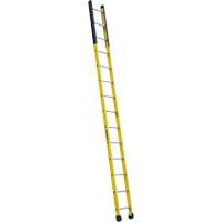 Single Manhole Ladder, 14', Fibreglass, 375 lbs., CSA Grade 1AA Northern Industrial Supply Inc.