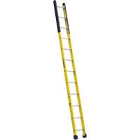 Single Manhole Ladder, 12', Fibreglass, 375 lbs., CSA Grade 1AA Northern Industrial Supply Inc.
