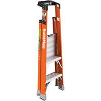Safespace Platform Step Ladder, 2', 300 lbs. Cap. Northern Industrial Supply Inc.