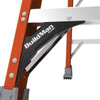 Safespace Platform Step Ladder, 12', 300 lbs. Cap. Northern Industrial Supply Inc.