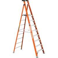 Safespace Platform Step Ladder, 8', 300 lbs. Cap. Northern Industrial Supply Inc.