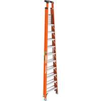 Safespace Platform Step Ladder, 10', 300 lbs. Cap. Northern Industrial Supply Inc.