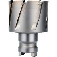 Fraise avec tenon &agrave; changement rapide Drive Hawg, Diam&egrave;tre de 2", Acier, Profondeur de la coupe de 1" Northern Industrial Supply Inc.