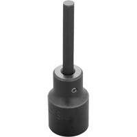 Embout &agrave; ins&eacute;rer, Hexagonale, 6 mm x 3-1/4" lo, Prise 1/2" Northern Industrial Supply Inc.