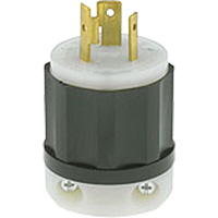 Prise mise &agrave; la terre verrouillable &agrave; deux bornes et trois fils, Nylon, 20 A, 250 V, L6-20P Northern Industrial Supply Inc.