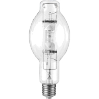 Ampoules DHI