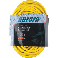Vinyl Extension Cord, Outdoor, SJTW, 12/3 AWG, 15 A, 100' Northern Industrial Supply Inc.