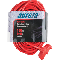 Cordon rallonge en vinyle, Ext&eacute;rieur, SJTW, AWG 12/3, 15 A, 3 prise(s), 100' Northern Industrial Supply Inc.