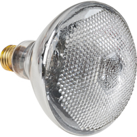 Lampes &agrave; incandescence &eacute;conomiques Northern Industrial Supply Inc.