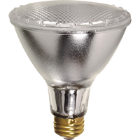 Gammes de lampes &eacute;conomiques Northern Industrial Supply Inc.