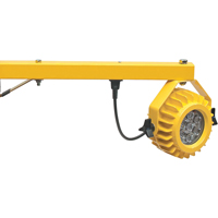 Heavy-Duty Loading Dock Lights, 60" Arm, 300 W, LED Lamp, Metal Northern Industrial Supply Inc.