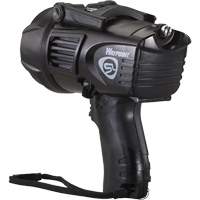 Projecteurs style pistolet Waypoint, DEL, 550 Lumens, Piles C Northern Industrial Supply Inc.