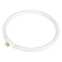 Replacement Fluorescent Bulb for Rhinomag Illuminated Magnifiers, 22 W Northern Industrial Supply Inc.