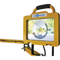 Heavy-Duty Dock Light, 40" Arm, 38 W, LED Lamp, Metal Northern Industrial Supply Inc.