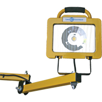 Heavy-Duty Dock Light, 40" Arm, 38 W, LED Lamp, Metal Northern Industrial Supply Inc.