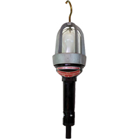 Baladeuses pour emplacements dangereux, DEL, 20 W, 2400 Lumens Northern Industrial Supply Inc.