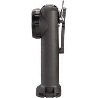 Lampe de poche Survivor, DEL, Piles AA, Polym&egrave;re de nylon Northern Industrial Supply Inc.