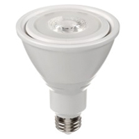 Ampoule DEL, PAR30, 10 W, 800 lumens, base Moyen Northern Industrial Supply Inc.