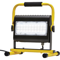 Projecteur d'illumination, DEL, 50 W, 4800 lumens, Boîtier en Aluminium Northern Industrial Supply Inc.