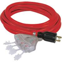 Generator Extension Cord with Quad Tap, STW, 10 AWG, 20 A, 4 Outlet(s), 25' Northern Industrial Supply Inc.