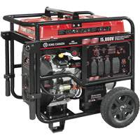 G&eacute;n&eacute;ratrice &agrave; essence &agrave; deux cylindres en V, 15 000 W de surtension, 12 500 W nominale, 120 V/240 V, R&eacute;servoir de 40 L Northern Industrial Supply Inc.