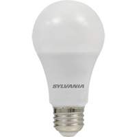 Ampoule DEL, A19, 8,5 W, 800 lumens, base Moyen Northern Industrial Supply Inc.