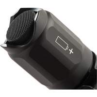 7000 Series Tactical Flashlight, LED, 774 Lumens, CR123 Batteries Northern Industrial Supply Inc.