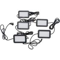 LED String Work Lights, 5 Lights, 50' L, Plastic Housing Northern Industrial Supply Inc.