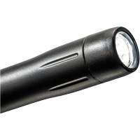 Lampe stylo, DEL, 139 lumens, Corps en Plastique, piles AAA, Compris Northern Industrial Supply Inc.