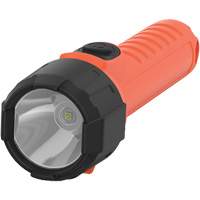 Intrinsically Safe&reg; Handheld Flashlight, LED, 150 Lumens, AA Batteries Northern Industrial Supply Inc.