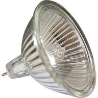 Ampoule de rechange MR16 Northern Industrial Supply Inc.
