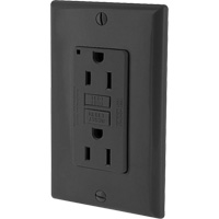 SmartlockPro&reg; Self-Test GFCI Outlet Northern Industrial Supply Inc.