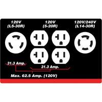 G&eacute;n&eacute;ratrice &agrave; essence &agrave; d&eacute;marreur &eacute;lectrique, 10000 W de surtension, 7500 W nominale, 120 V/240 V, R&eacute;servoir de 25 L Northern Industrial Supply Inc.