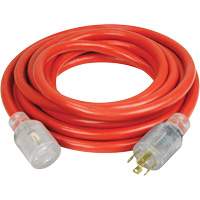 Generator Extension Cord with Quad Tap, Outdoor, 10 AWG, 30 A, 4 Outlet(s), 25' Northern Industrial Supply Inc.