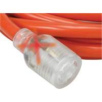 Generator Extension Cord with Quad Tap, Outdoor, 10 AWG, 30 A, 4 Outlet(s), 25' Northern Industrial Supply Inc.