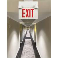 Exit Sign with Security Lights, LED, Battery Operated/Hardwired, 12-1/10" L x 11" W, English Northern Industrial Supply Inc.