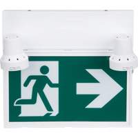 Running Man Sign with Security Lights, LED, Battery Operated/Hardwired, 12-1/10" L x 11" W, Pictogram Northern Industrial Supply Inc.