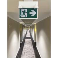 Running Man Sign with Security Lights, LED, Battery Operated/Hardwired, 12-1/10" L x 11" W, Pictogram Northern Industrial Supply Inc.