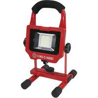 Work Light, LED, 15 W, 1500 Lumens, Aluminum Housing Northern Industrial Supply Inc.