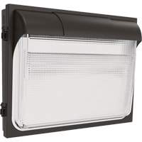 TWX3 Wall Luminaire, LED, 120 - 277 V, 14" H x 18" W x 5" D Northern Industrial Supply Inc.