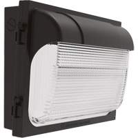 TWX Wall Luminaire, LED, 480 V, 9 W - 54 W, 14" H x 18" W x 5" D Northern Industrial Supply Inc.