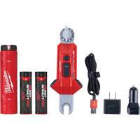 Lampe USB polyvalente REDLITHIUM pour perche isolante, DEL, Piles Rechargeable, Aluminium Northern Industrial Supply Inc.
