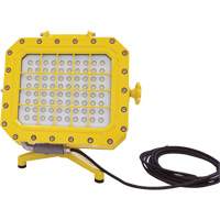 Diffuseur anti-d&eacute;flagration avec support pour plancher, DEL, 40 W, 5600 lumens, Boîtier en Aluminium Northern Industrial Supply Inc.