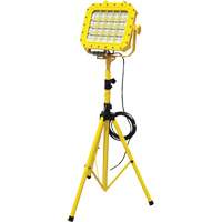 Diffuseur anti-d&eacute;flagration avec tr&eacute;pied, DEL, 40 W, 5600 lumens, Boîtier en Aluminium Northern Industrial Supply Inc.