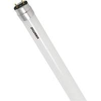 SubstiTUBE&reg; Frosted Glass LED Bulb, 12 W, T8, 5000 K, 48" L Northern Industrial Supply Inc.