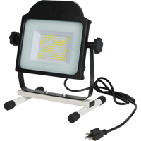 Projecteur, DEL, 100 W, 10000 lumens Northern Industrial Supply Inc.