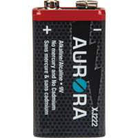 Industrial Alkaline Batteries, 9 V Northern Industrial Supply Inc.