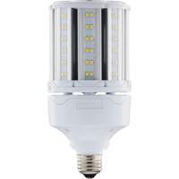 Ampoule HID de remplacement s&eacute;lectionnable ULTRA LED, E26, 18 W, 2700 lumens Northern Industrial Supply Inc.