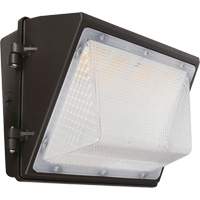 Non-Cutoff Wall Pack, LED, 120 - 277 V, 75 - 110 W, 9.33" H x 6.65" W x 14.5" D Northern Industrial Supply Inc.