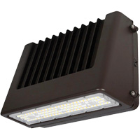 Wall Pack Light Fixture, LED, 120 V, 80 W, 6.5" H x 9.3" W x 14.4" D Northern Industrial Supply Inc.